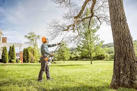 Best Tree Health Inspection  in Lookout Mountain, GA